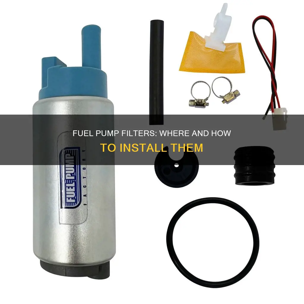 can i put inline filter before my electric fuel pump