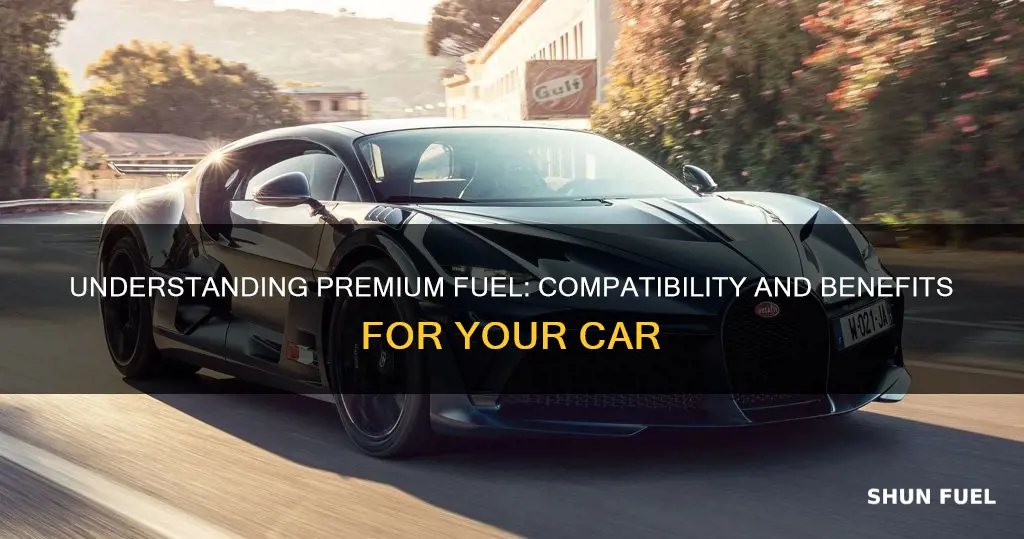 can i put premium fuel in my car