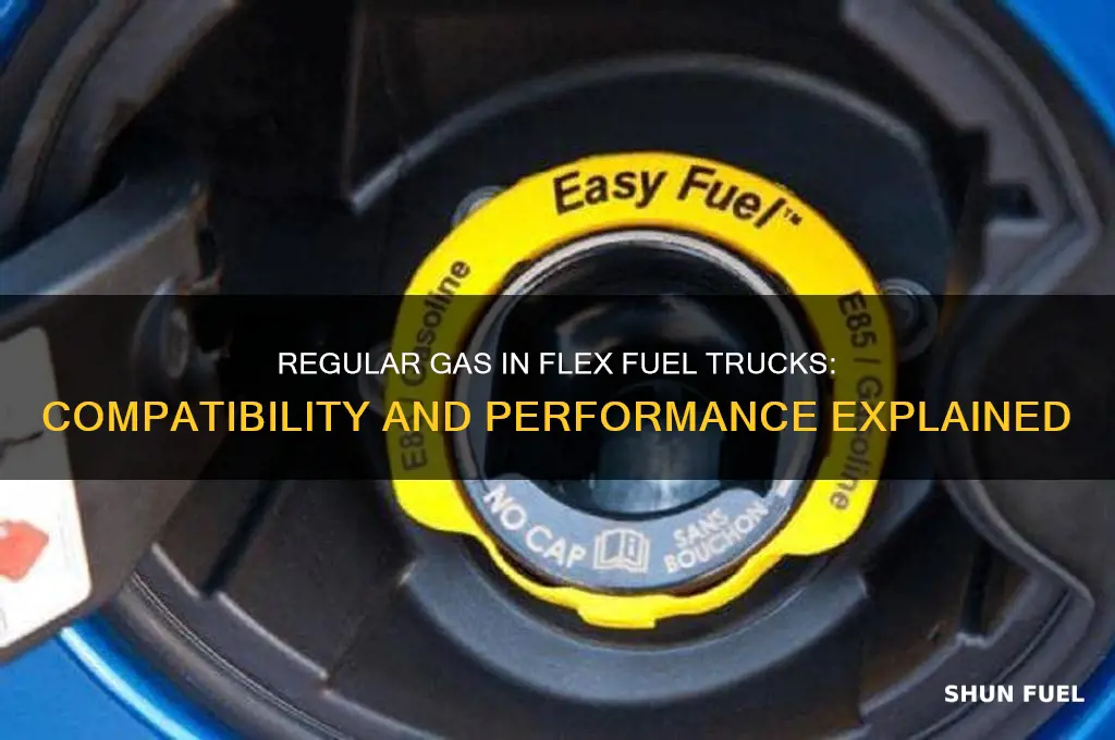 can i put regular gas in a flex fuel truck