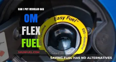 Regular Gas in Flex Fuel Vehicles: What You Need to Know