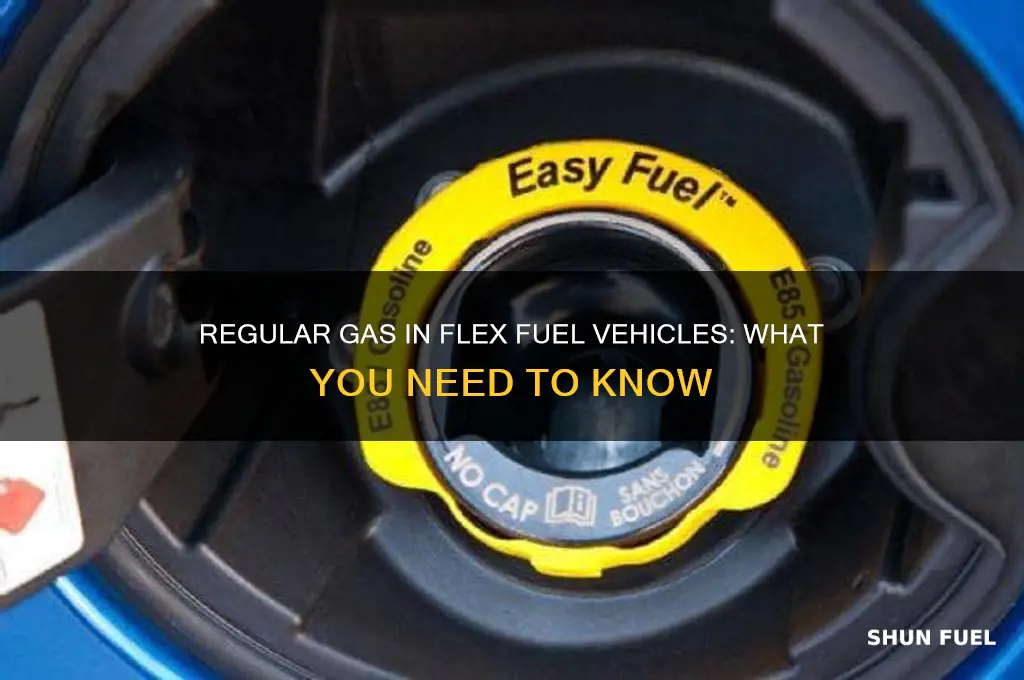 can i put regular gas om flex fuel