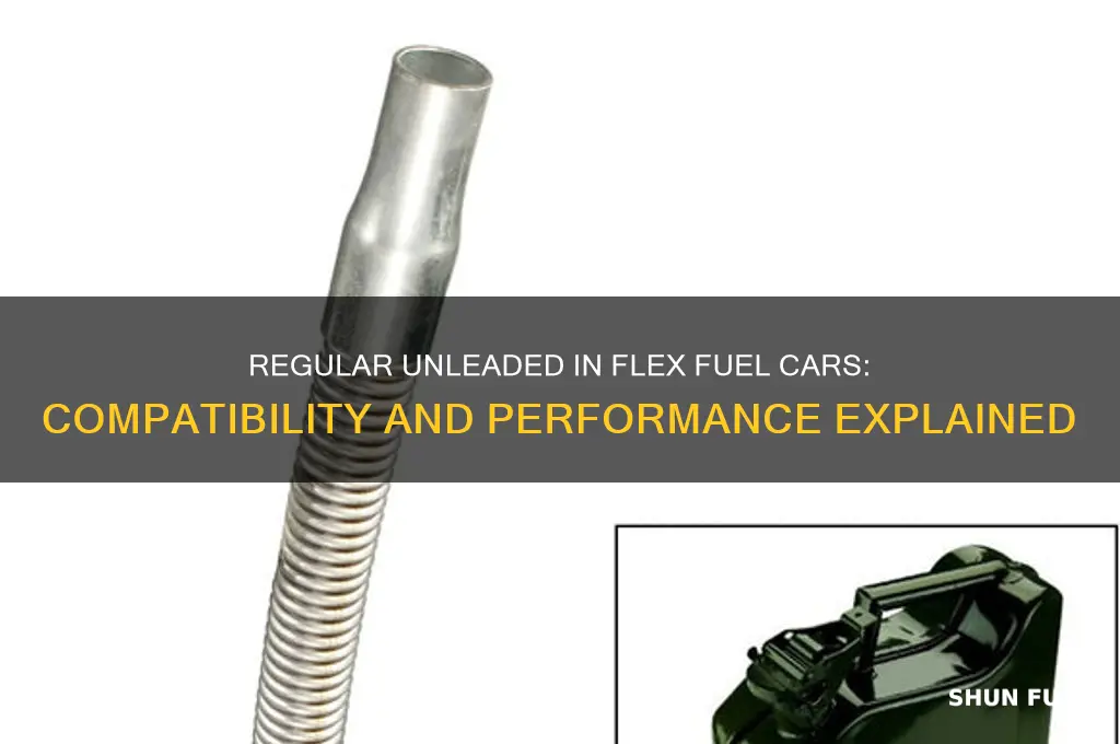 can i put regular unleaded in a flex fuel car