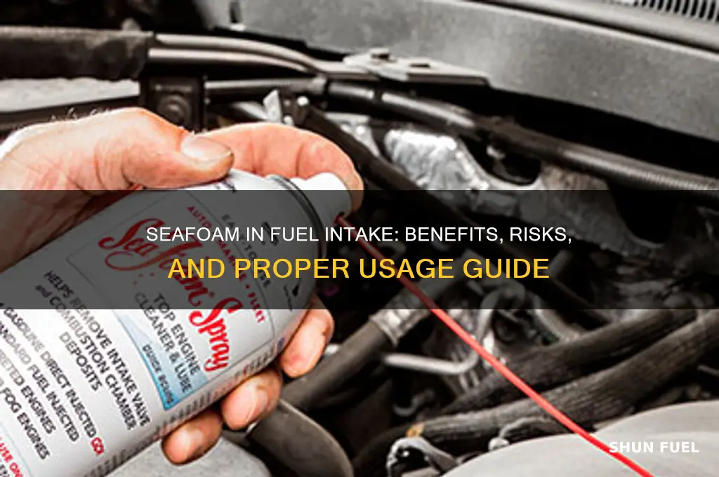 can i put seafoam in the fuel intake