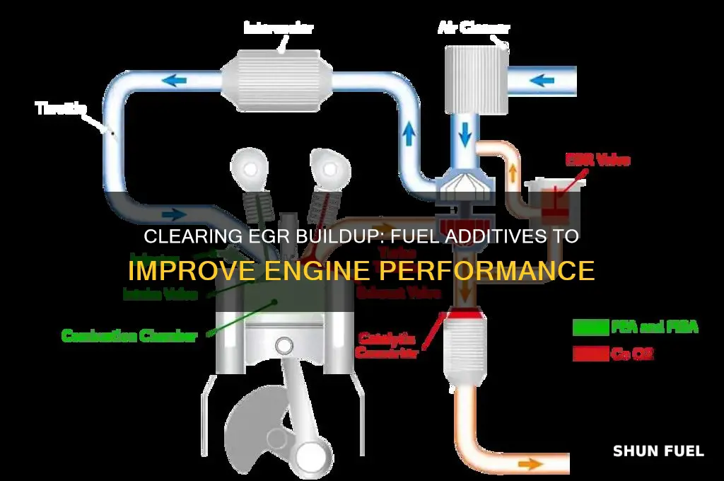 can i put something in fuel to clear egr