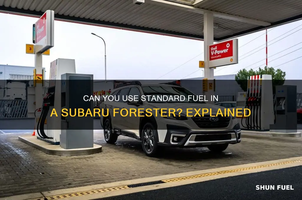 can i put standard fuel in a subaru forester