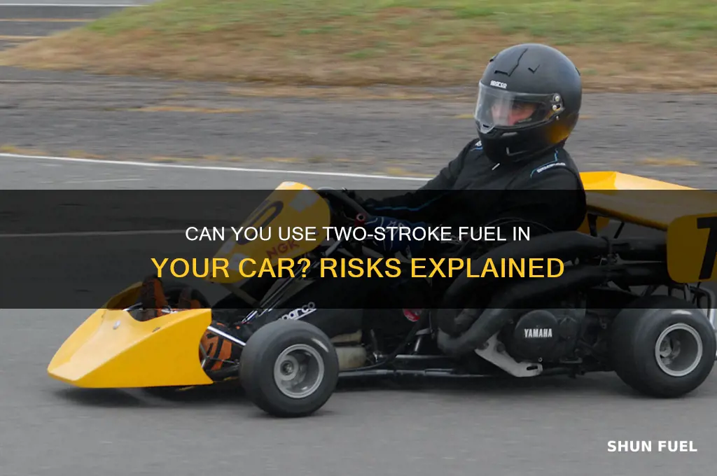can i put two stroke fuel in my car