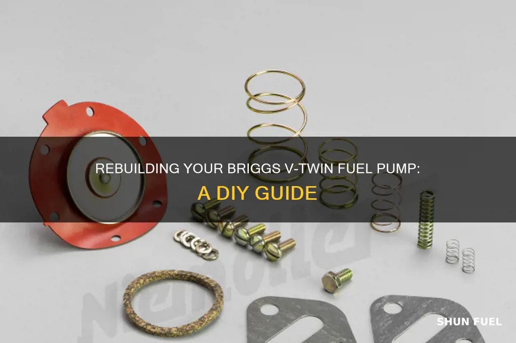 can i rebuild my briggs vtwin fuel pump