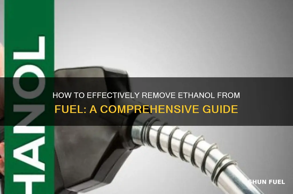 can i remove ethinol from fuel