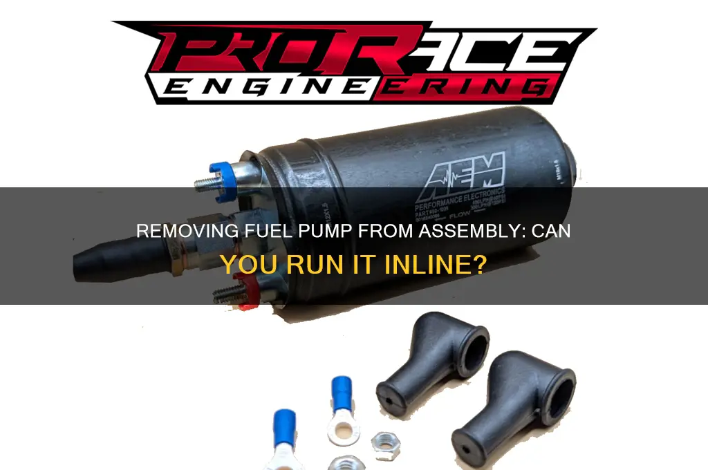 can i remove fuel pump from assembly snd run inline