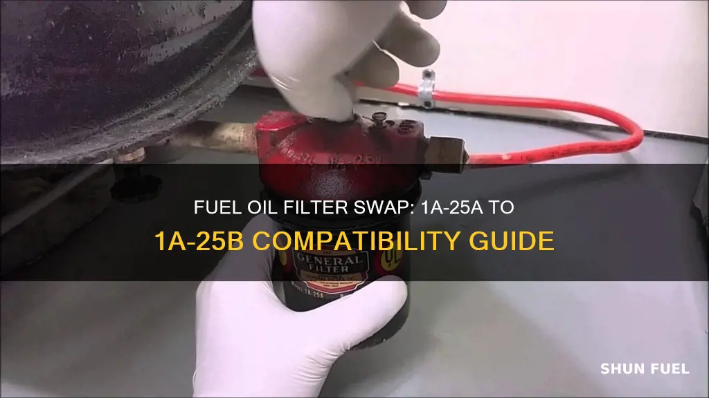 can i replace 1a-25a with 1a-25b fuel oil filter