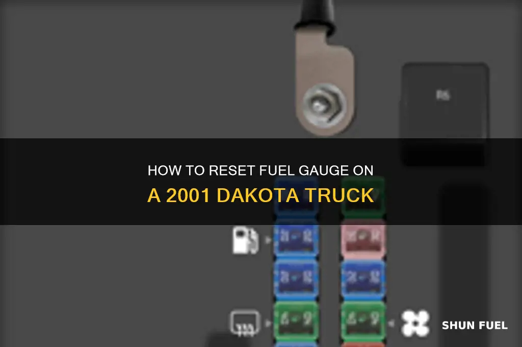 can i reset fuel gauge on 2001 dakota