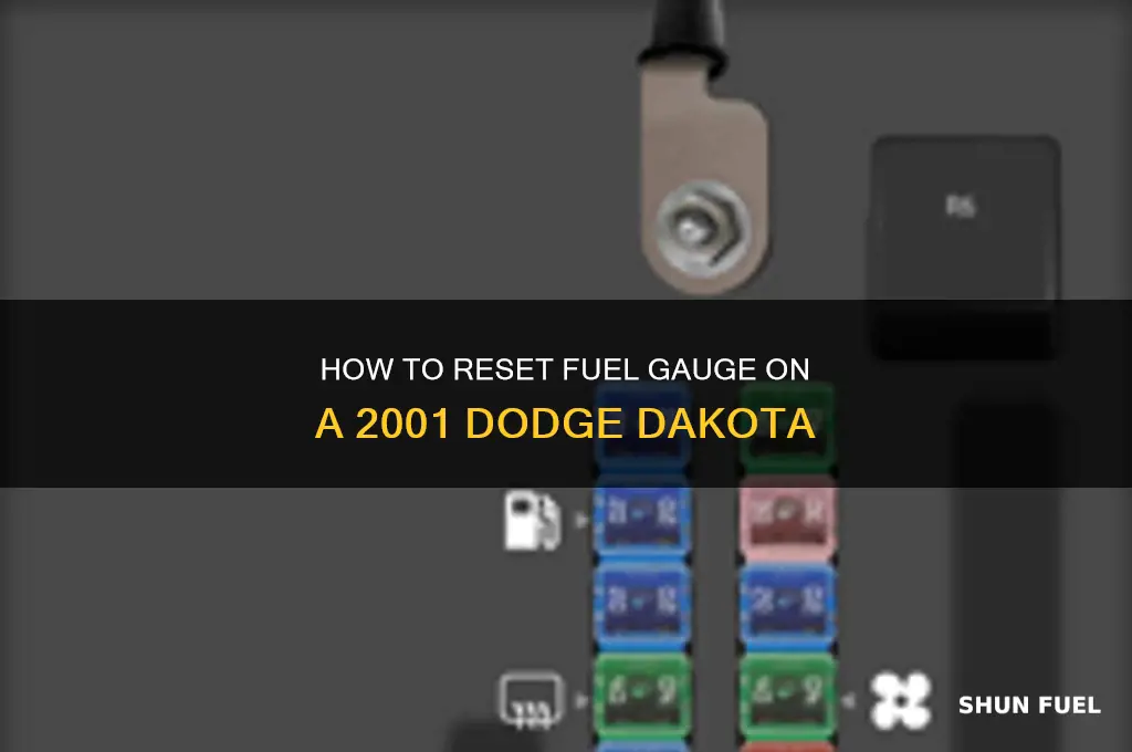 can i reset fuel gayge on 2001 dakota