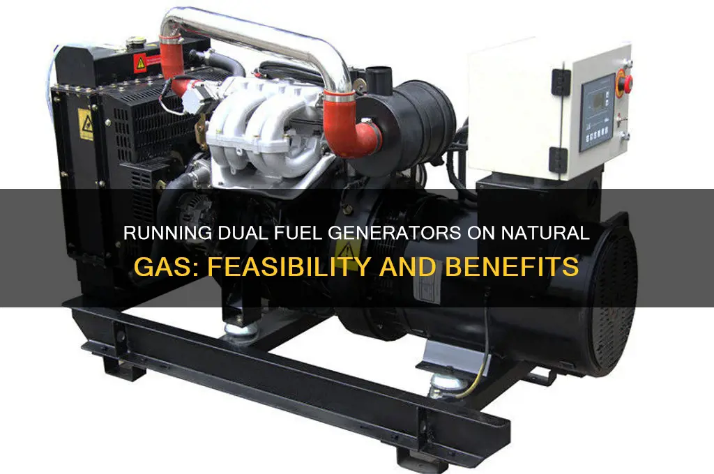 can i run a dual fuel generator on natural gas