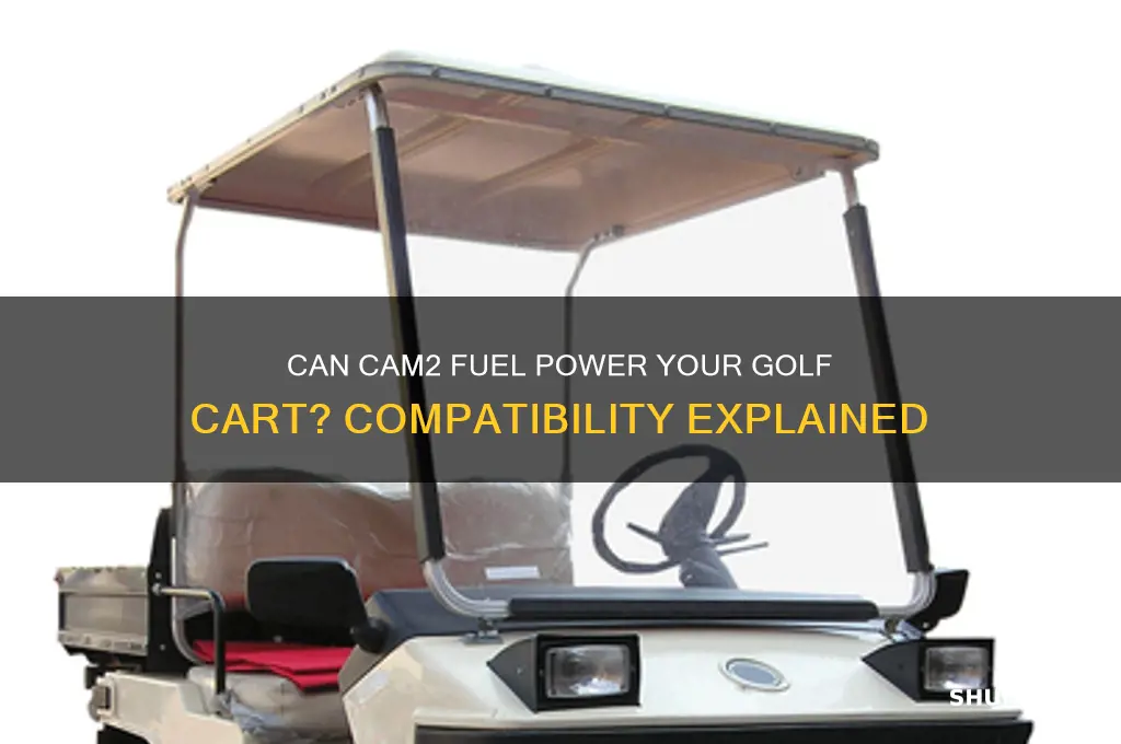 can i run cam2 fuel in my golf cart