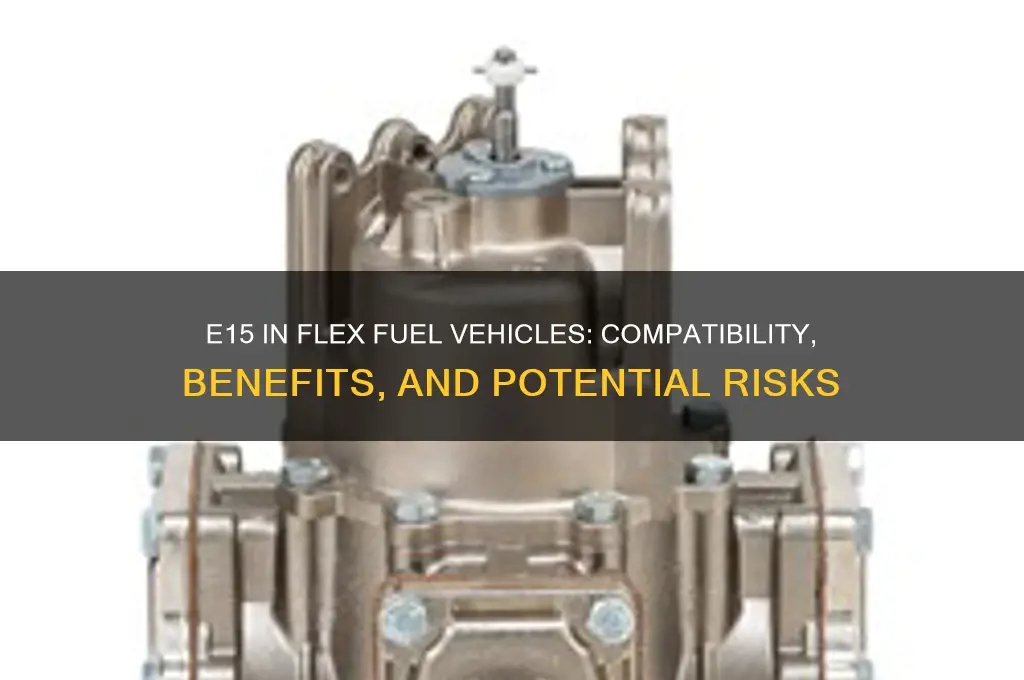 can i run e15 in flex fuel
