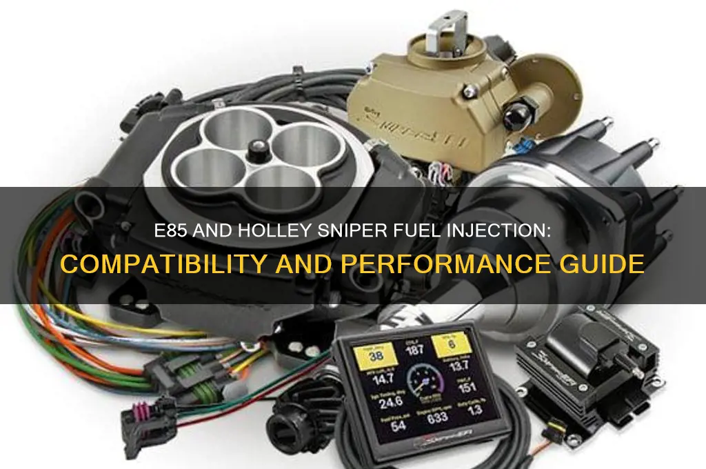 can i run e85 with holley sniper fuel injection