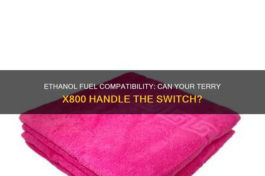 can i run ethanol fuel in my terry x800