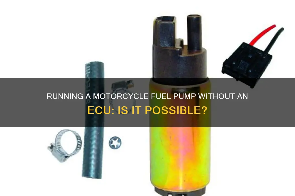 can i run motorcycle fuel pump without ecu