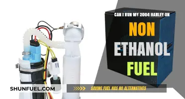 Running Your 2004 Harley: Non-Ethanol Fuel Compatibility Guide