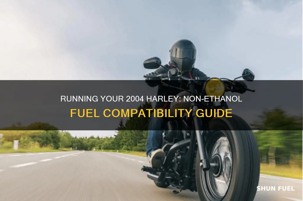 can i run my 2004 harley on non ethanol fuel