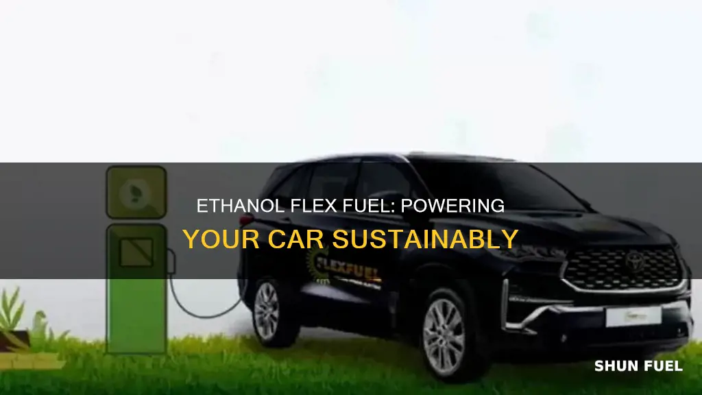 can i run my car on ethanol flex fuel