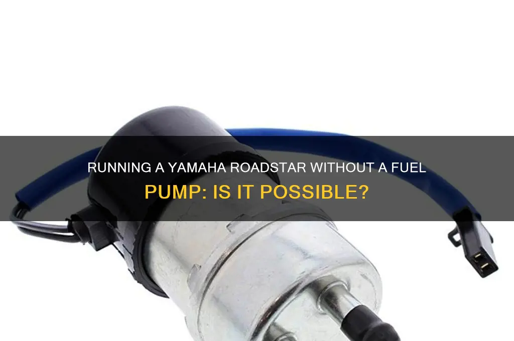 can i run my yamaha roadstar without fuel pup
