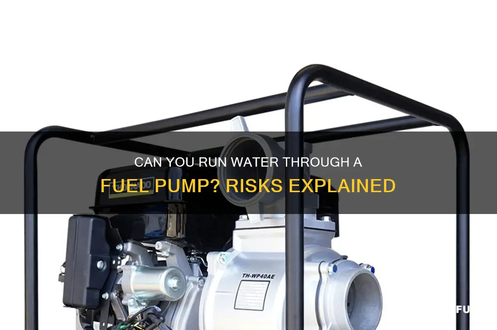 can i run water through fuel pump