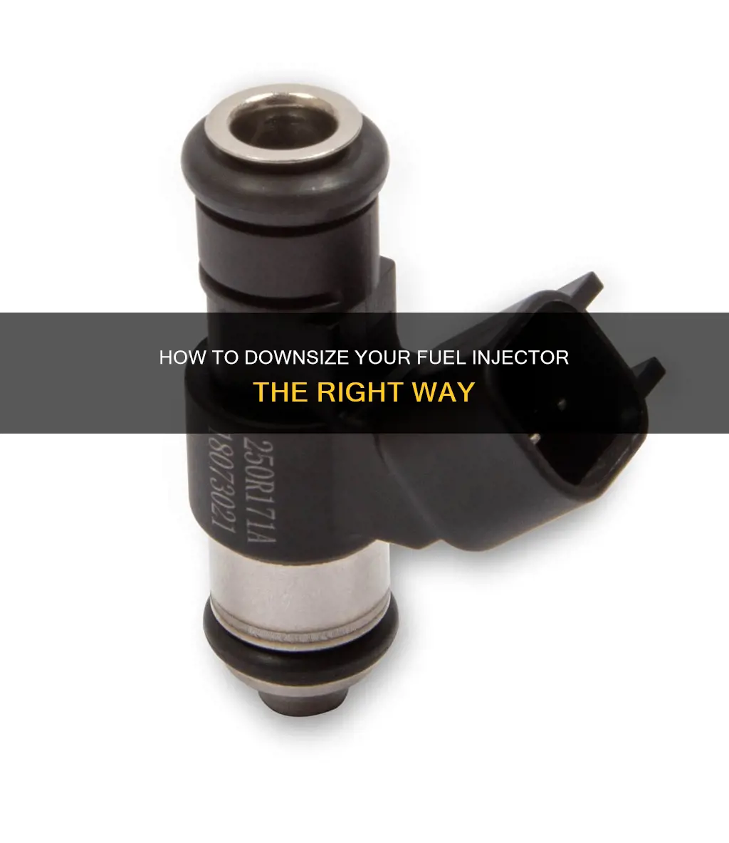 can i scale down a fuel injector