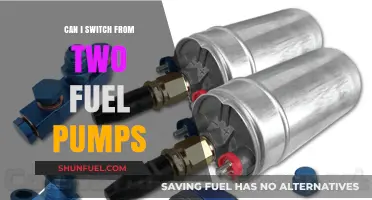 Switching from Dual Fuel Pumps: Is It Possible and Practical?