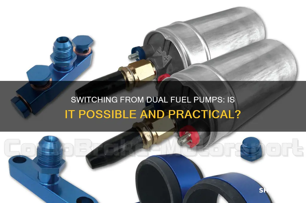 can i switch from two fuel pumps
