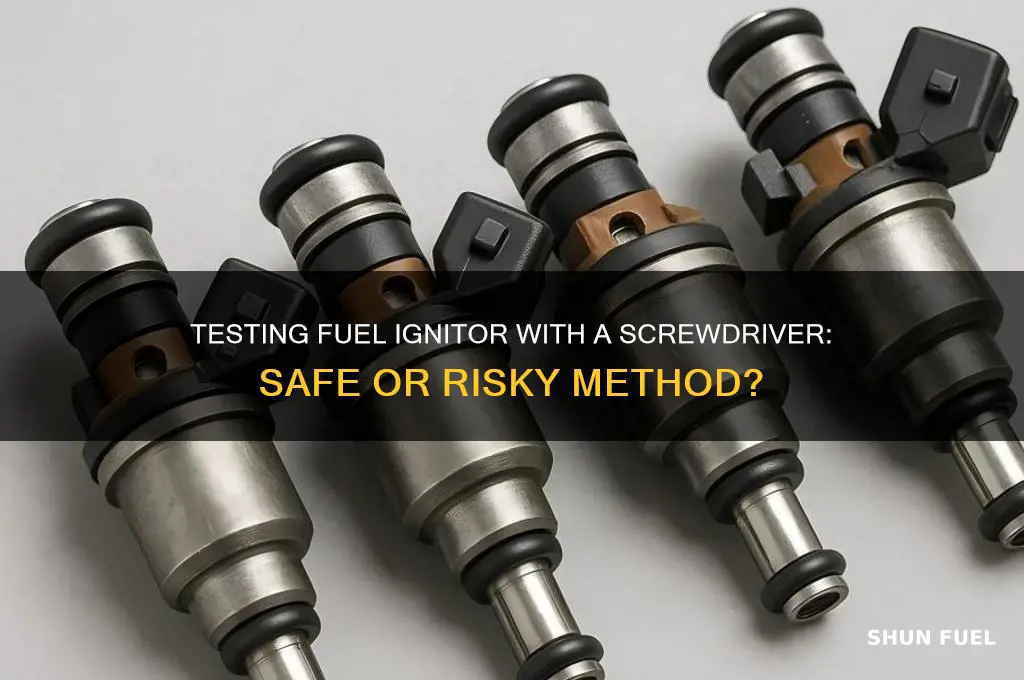 can i test fuel ignitor be check with screwdriver