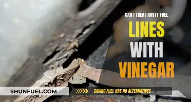 Rusty Fuel Lines: Vinegar Treatment: Effective or Not?