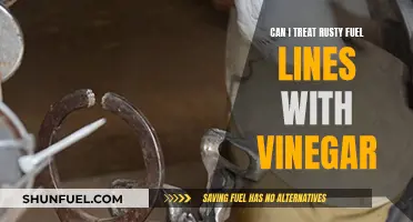 Treating Rusty Fuel Lines: Can Vinegar Be the Solution?