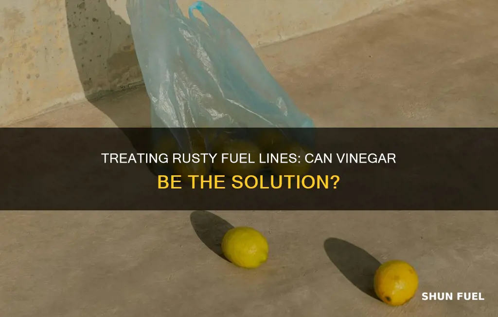 can i treat rusty fuel lines with vinegar