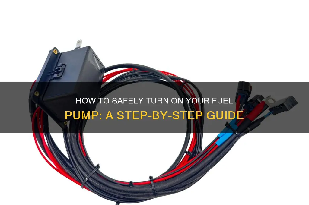 can i turn my fuel pump on