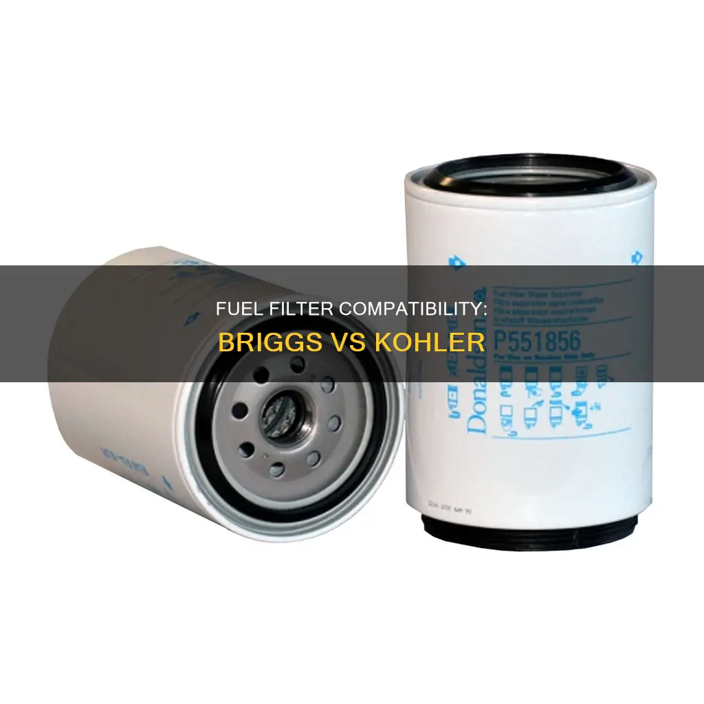 can i use a briggs fuel filter on a kohler