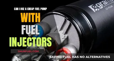 Fuel Pump and Injectors: Does Price Matter?