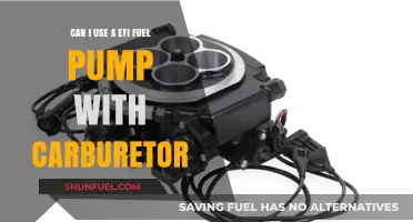 EFI Fuel Pump with Carburetor: Compatibility and Performance Insights
