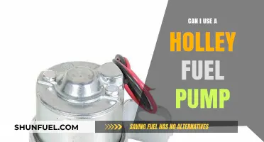 Can You Use a Holley Fuel Pump for Your Engine Setup?