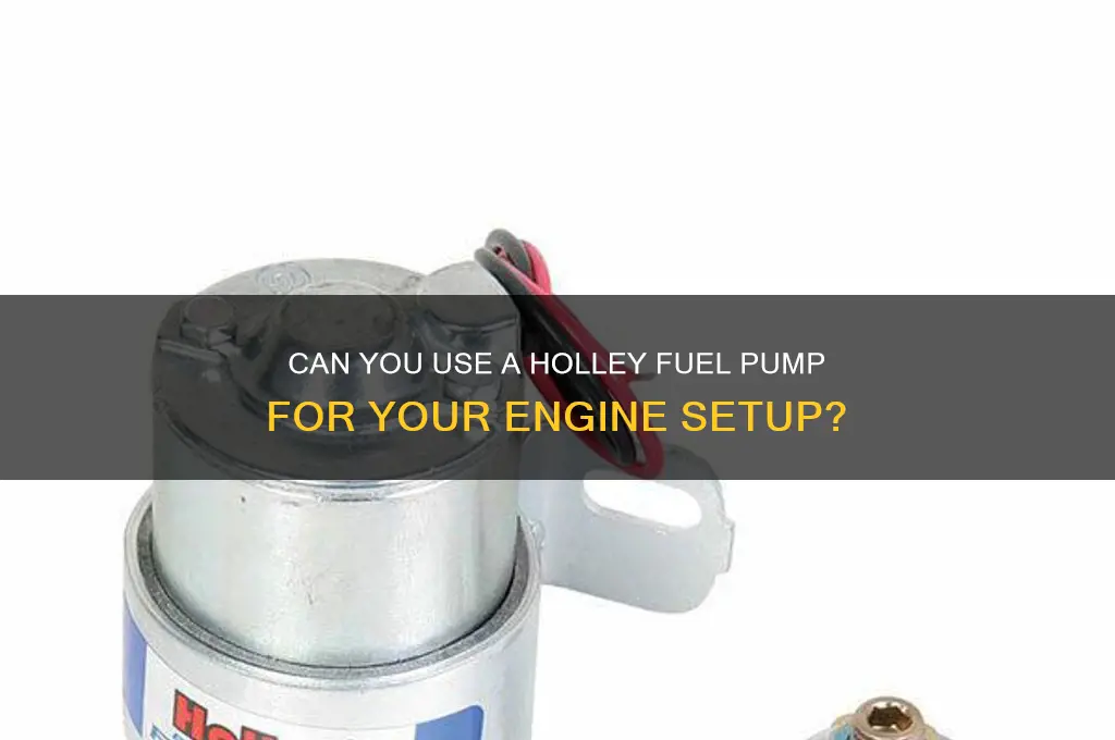 can i use a holley fuel pump