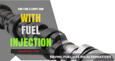 Lopey Cam and Fuel Injection: Compatibility and Performance Insights