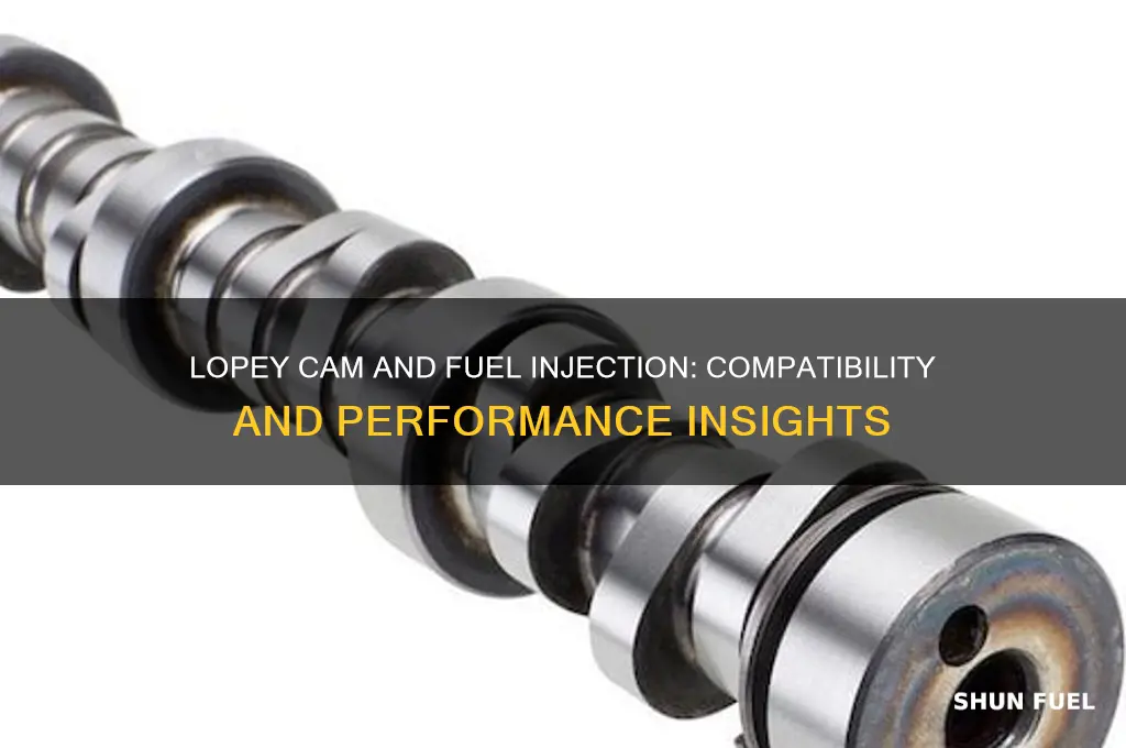 can i use a lopey cam with fuel injection