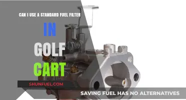 Golf Cart Fuel Filter: Standard or Special?