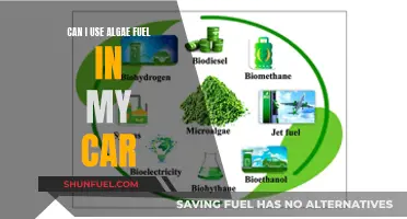 Algae Fuel: Green Energy for Your Car?