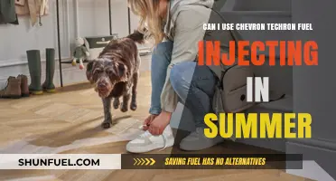 Chevron Techron Fuel Injector Cleaner: Summer Use Benefits Explained
