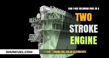 Using Coleman Fuel in Two-Stroke Engines: Safe or Risky Choice?