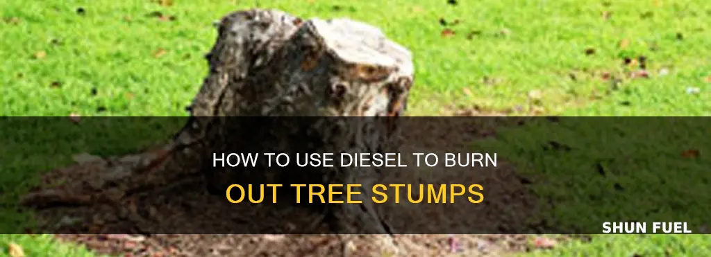 can i use diesel fuel to burn out a stump