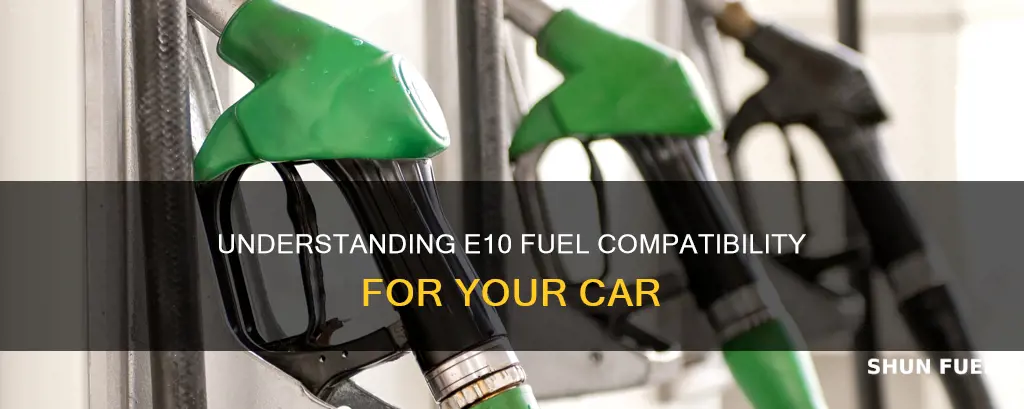 can i use e10 fuel in my car