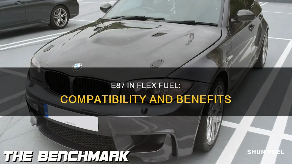 can i use e87 in a flex fuel car