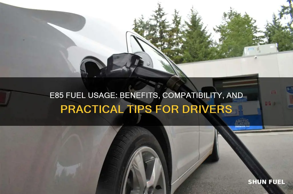 can i use e88 fuel